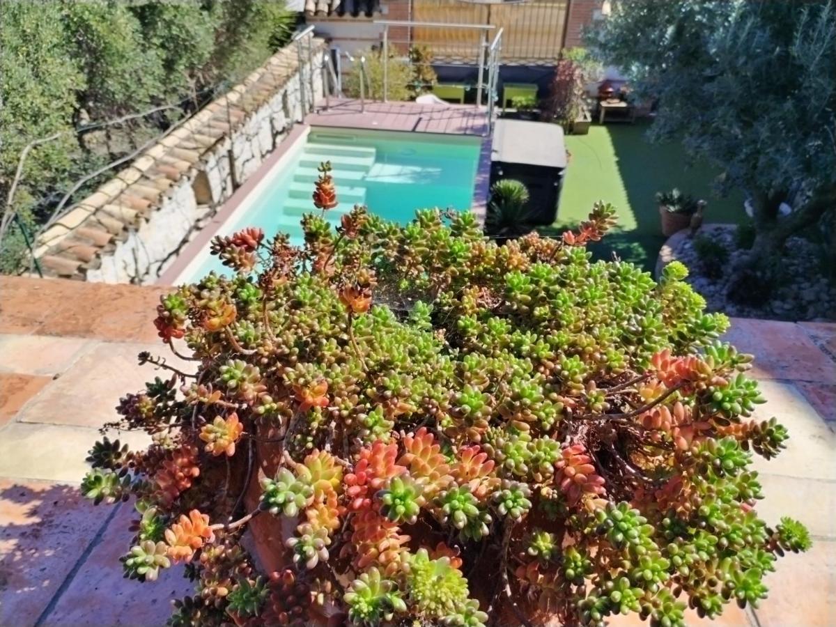 Villa Artemia Maison Vigneronne A Sigean Exterior photo